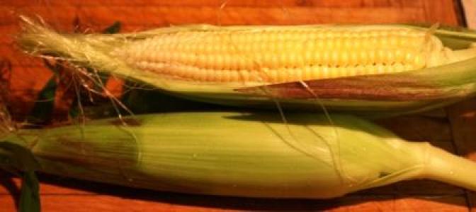 Sweet Corn on the Cob