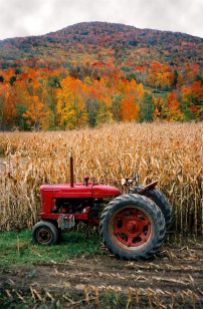 Cornfield with Tractor in Autumn