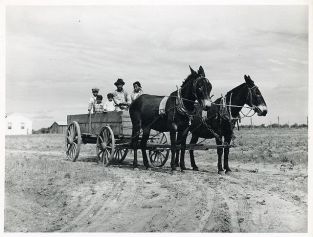 Farm- Wagon- Ben Turner and family in their wagon with mule team. Flint River Farms GA, May 1939