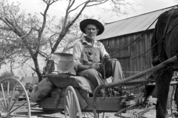 Farm- Wagon- Lee Betties, rural rehabilitation client, with sack of horse and mule feed on rear of his wagon, leaving general store at Woodville, Greene County, Georgia, 1939