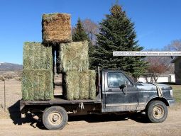 Square Hay Bales Loaded on a Farm Truck