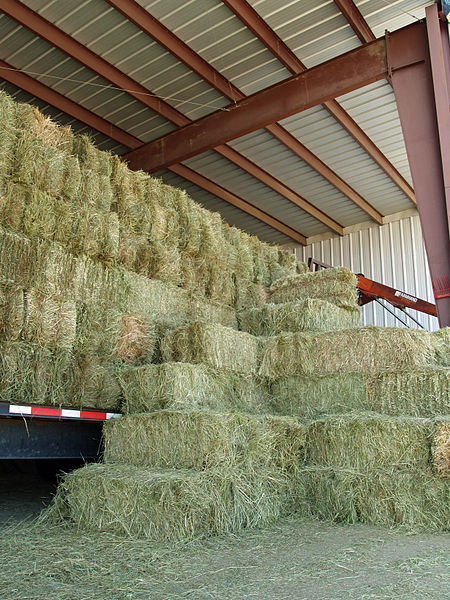Stacked Hay Bales in the Barn