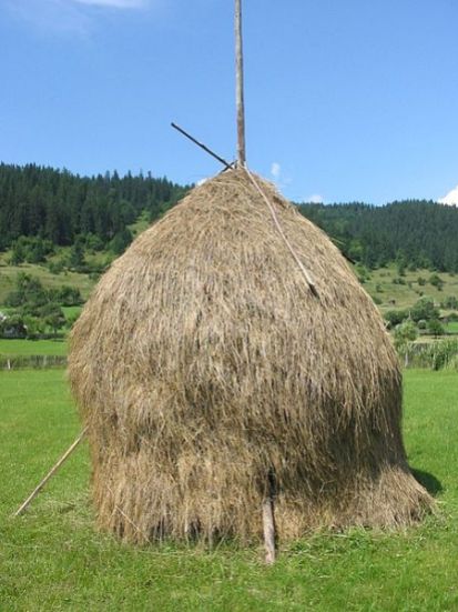 An Old-fashioned Hay Stack