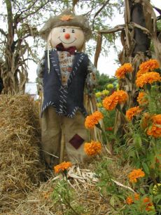 Scarecrow by the Hay Bales and Flowers