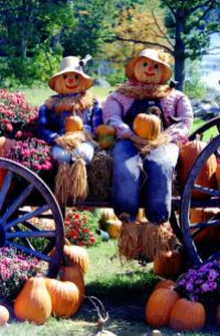Mr and Mrs Scarecrow on the Pumpkin Harvest Wagon