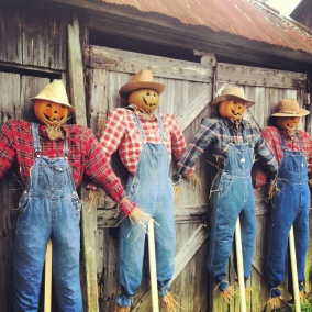 Scarecrow Morning Roll Call Before Heading Out to the Fields