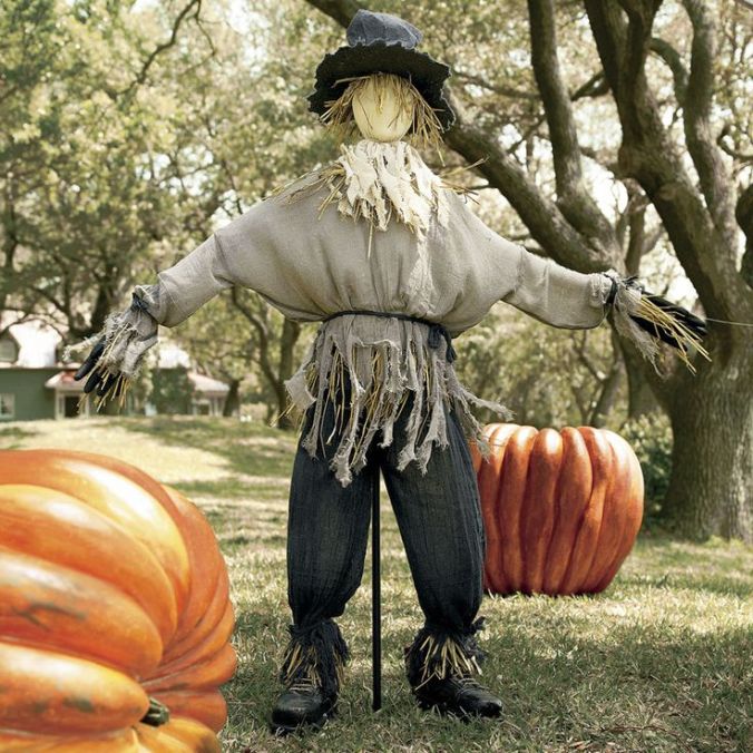 Scarecrow with the Pumpkins and Field Boots