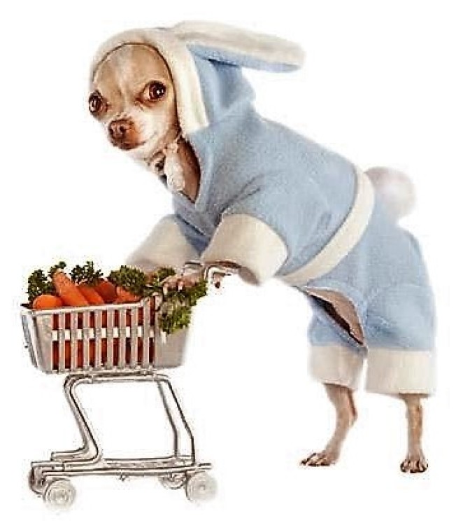 Chihuahua Shopping with Cart, via Pinterest uncredited