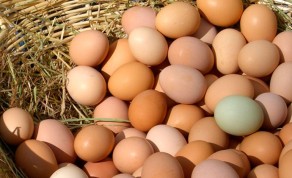Eggs at Market
