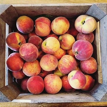 Food- Peaches at Market